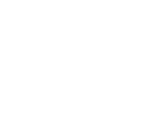 logo-bornemann-white